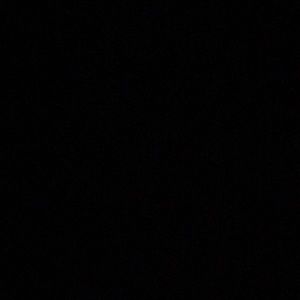 Meet your Posher, Damon